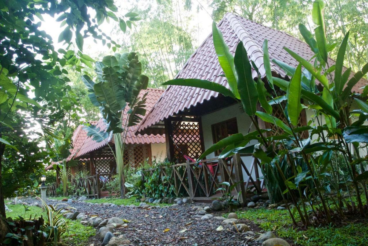 Naturalmente Boutique Bungalows Y Cocina Mediterranea Las Lajas  Exterior photo